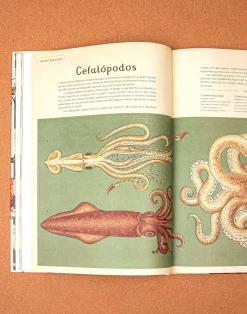 Natura Selection Libros^Animalium