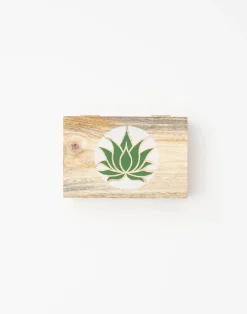 Natura Selection Decoración^Caja Lotus