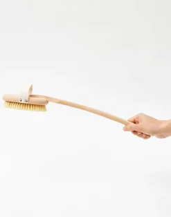 Natura Selection Bodycare & Beauty|Bodycare & Beauty^Cepillo Con Mango Cuerpo Y Espalda