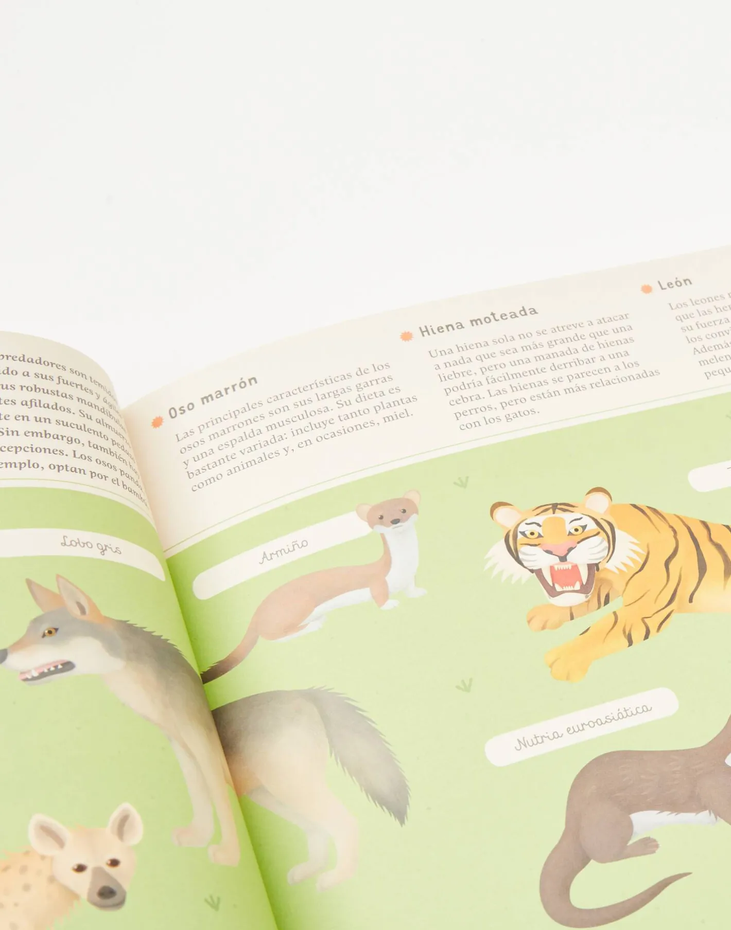 Natura Selection Libros^Enciclopedia De Animales Para Jóvenes Lectores