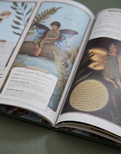 Natura Selection Libros^Historia Natural De Las Hadas