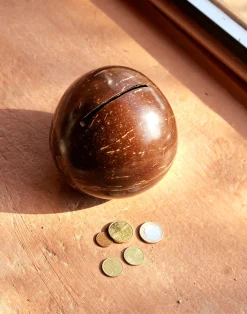 Natura Selection Electrónica Y Gadget|Decoración^Hucha Coco