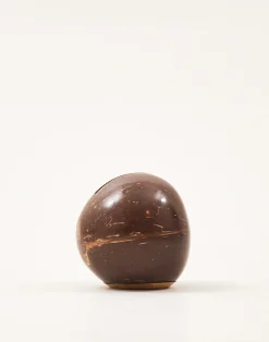 Natura Selection Electrónica Y Gadget|Decoración^Hucha Coco