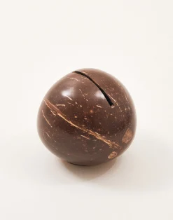 Natura Selection Electrónica Y Gadget|Decoración^Hucha Coco