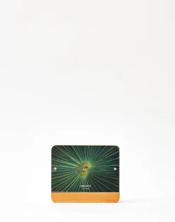 Natura Selection Decoración^Marco Madera Metacrilato 9x13