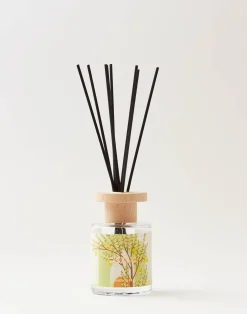 Natura Selection Aromas Y Difusores|Difusores^Mikado Modern 120ml