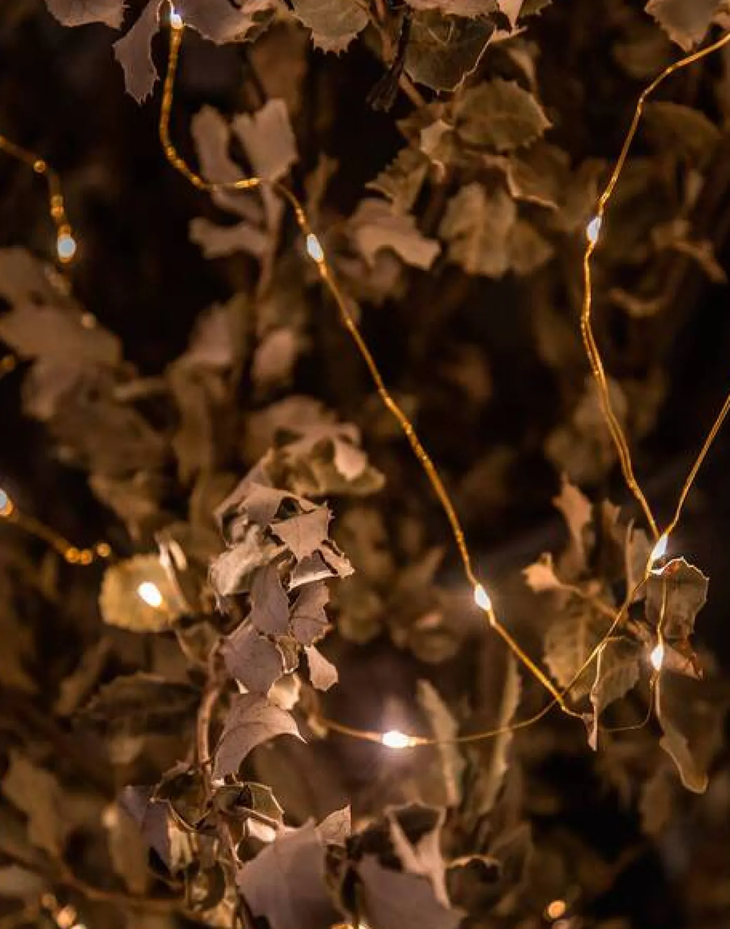 Natura Selection Iluminación|Decoración^Mini Tira De Luces