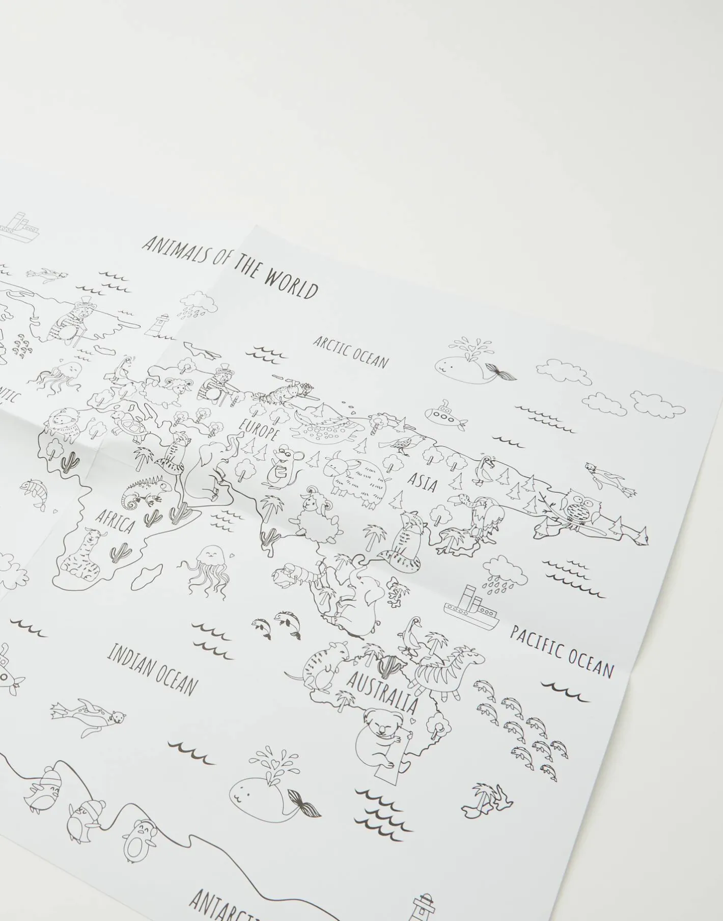 Natura Selection Juegos^Póster Para Pintar