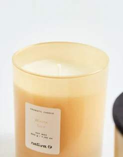 Natura Selection Aromas Y Difusores|Velas^Vela De Soja Perfumada 200gr