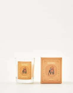 Natura Selection Velas|Velas^Vela Elephant