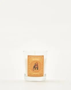 Natura Selection Velas|Velas^Vela Elephant
