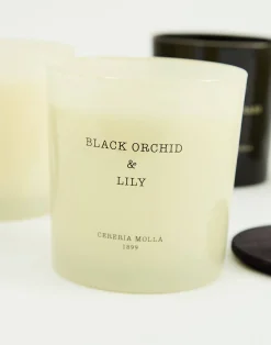 Natura Selection Velas|Velas^Vela 600gr Cereria Mollá