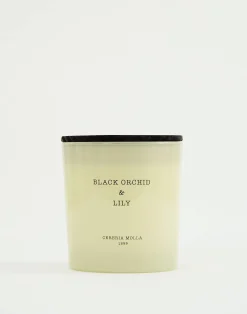 Natura Selection Velas|Velas^Vela 600gr Cereria Mollá