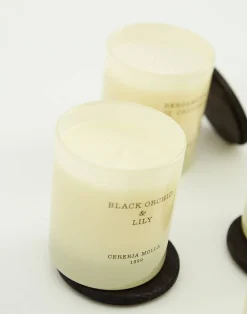 Natura Selection Velas|Velas^Vela Vaso Premium Con Tapa Cerería Mollá