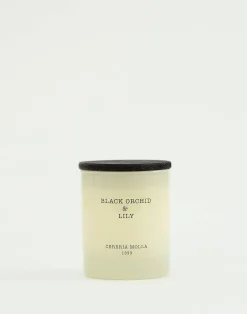 Natura Selection Velas|Velas^Vela Vaso Premium Con Tapa Cerería Mollá