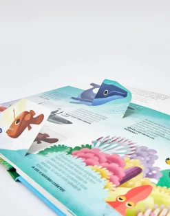 Natura Selection Libros^Viaja Y Descubre La Tierra