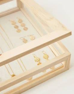 Natura Selection Decoración^Vitrina Cristal Y Madera Grande