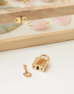 Natura Selection Decoración^Vitrina Cristal Y Madera Pequeña