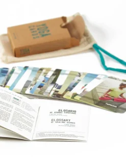Natura Selection Juegos|Yoga^Yoga Cards